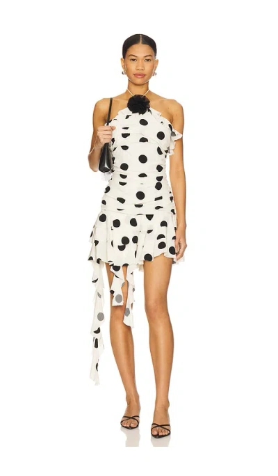 Majorelle Brandi Mini Dress In White