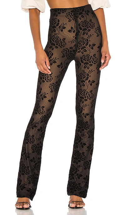 Majorelle Lars Pant In Black