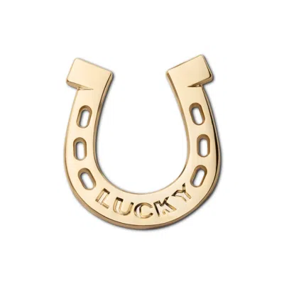 Make Heads Turn Women's Golden Metal Pin Horseshoe