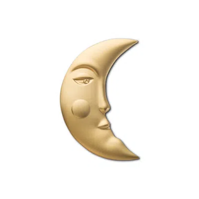 Make Heads Turn Women's Golden Pin Moon