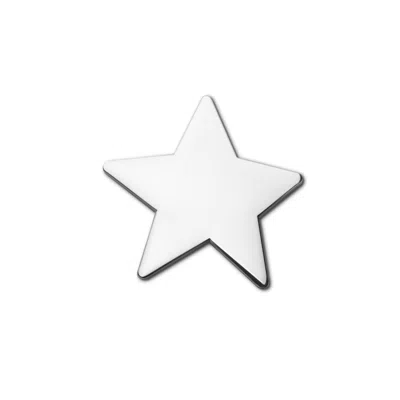 Make Heads Turn Women's Grey / Silver Silver Pin Star In White