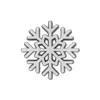 Make Heads Turn Women's Silver / Grey / White Enamel Pin Snowflake In Metallic