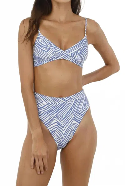 Malai Axell Bikini Top In Zebra Line Blue In Multi