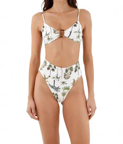 Malai Hella Cool Bikini Bottom In Green Wood In White