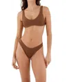 Malai Jazz Hop Bikini Top In Earth Zebra In Brown