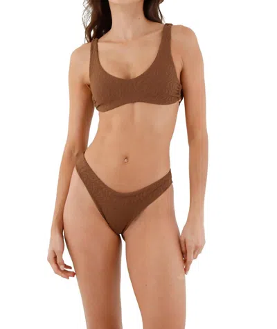Malai Jazz Hop Bikini Top In Earth Zebra In Brown