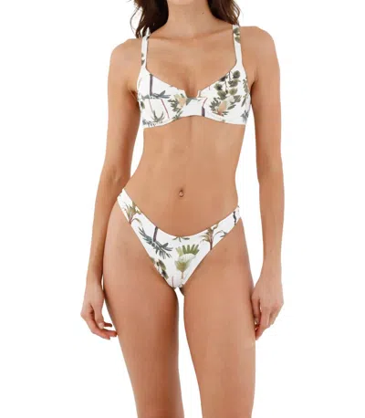 Malai Majestic Bikini Top In Green Wood In White