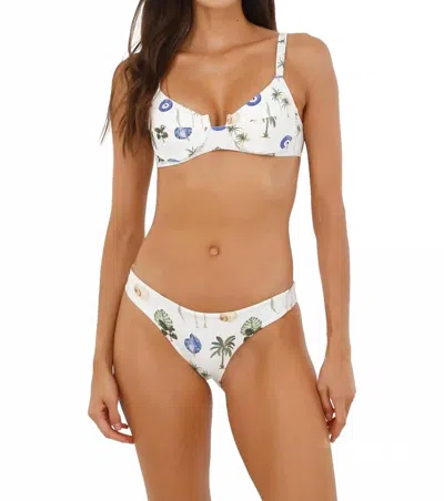 Malai Majestic Bikini Top In Lango Fresh In Multi