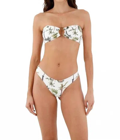 Malai Neo Paramount Bikini Bottom In Green Wood In Multi