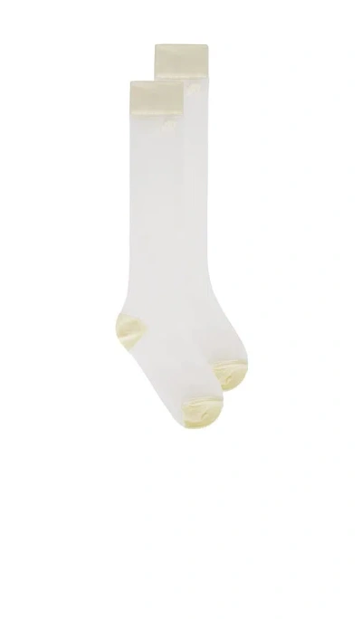 Malbon Leandra Knee Sock In Ivory