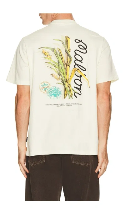Malbon Origin Tee In Gray
