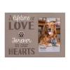 Malden 4"x6" Pet Remembrance Tabletop Frame In Brown