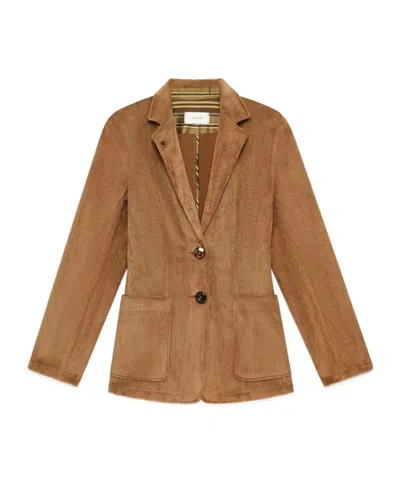 Maliparmi Corduroy Velvet Blazer In Brown