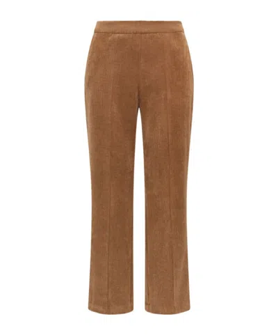 Maliparmi Corduroy Velvet Trouser In Brown
