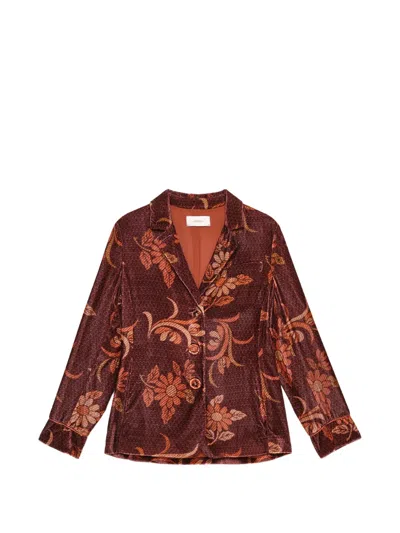 Maliparmi Floral-print Velvet Blazer In Brown