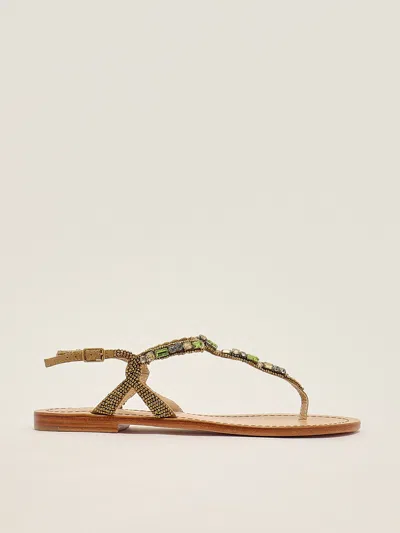Maliparmi Infradito Gioiello Sandal