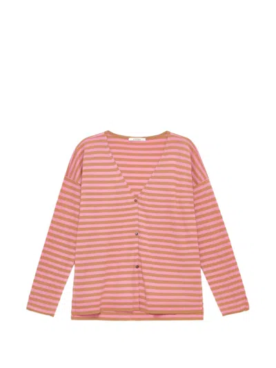 Maliparmi Striped Cardigan In Pink