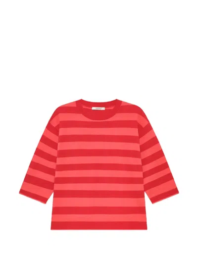 Maliparmi Striped T-shirt In Red
