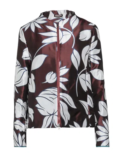 Maliparmi Jackets In Brown