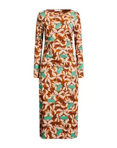 Maliparmi Malìparmi Woman Midi Dress Brown Size 8 Polyester, Elastane