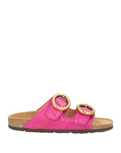 Maliparmi Malìparmi Woman Sandals Fuchsia Size 8 Leather In Pink