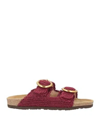 Maliparmi Malìparmi Woman Sandals Garnet Size 7 Textile Fibers In Red