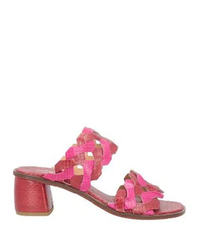 Maliparmi Malìparmi Woman Sandals Magenta Size 7 Leather In Multi