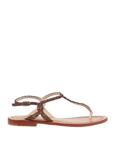 Maliparmi Malìparmi Woman Thong Sandal Bronze Size 6 Textile Fibers In Yellow