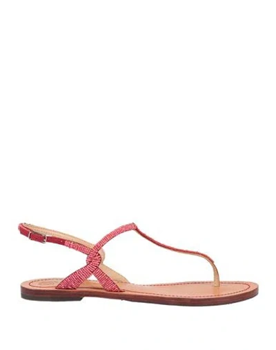 Maliparmi Malìparmi Woman Thong Sandal Coral Size 6 Leather In Red