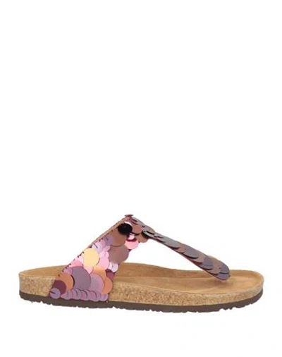 Maliparmi Malìparmi Woman Thong Sandal Purple Size 10 Textile Fibers, Leather In Multi