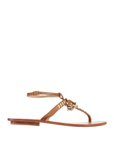 Maliparmi Malìparmi Woman Thong Sandal Tan Size 6 Leather In Brown
