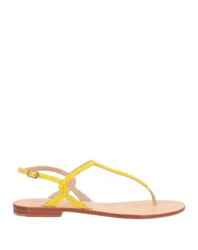 Maliparmi Malìparmi Woman Thong Sandal Yellow Size 11 Leather