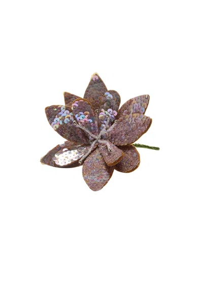 Maliparmi Women's Brooch  In Brown