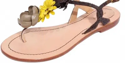 Maliparmi Women Flower Sandal In Brown