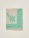 Maliparmi Wool Shawl In Green