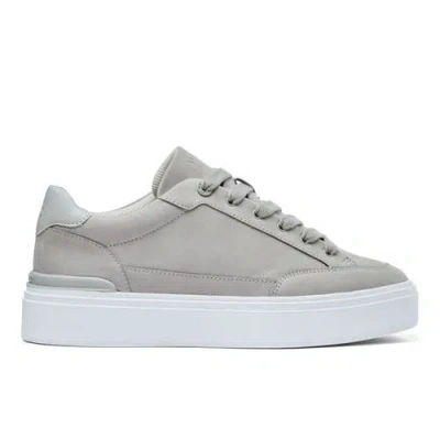 Mallet Lansbury Sneakers In Gray
