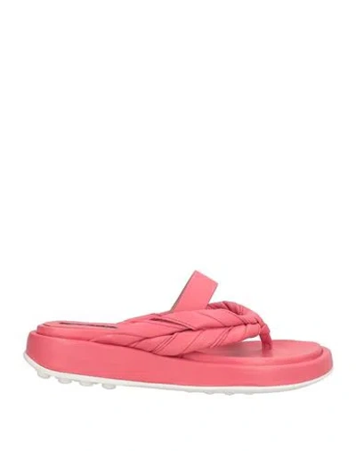 Malloni Woman Thong Sandal Pink Size 5 Leather