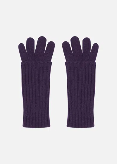 Malo Guanti In Cashmere In Purple