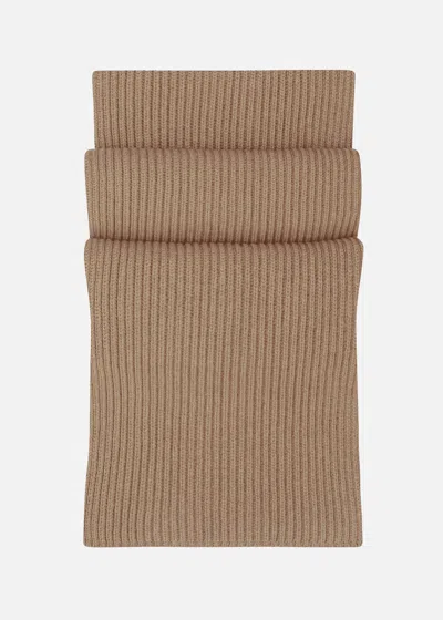 Malo Cashmere Scarf In Brown
