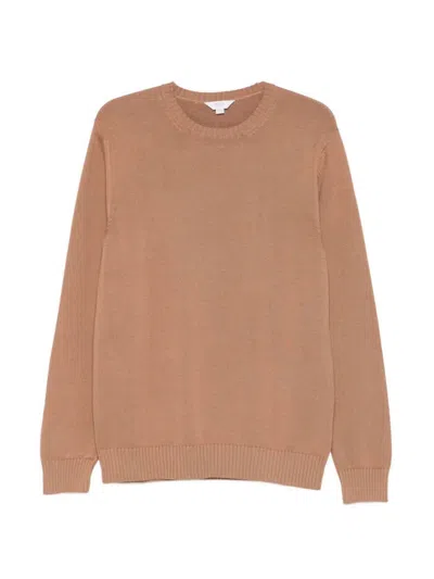 Malo Cotton Round Neck In Brown