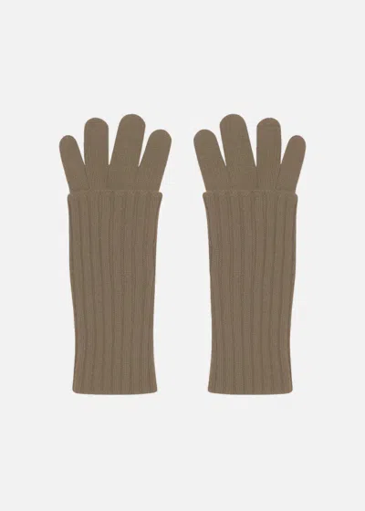 Malo Guanti In Cashmere In Brown