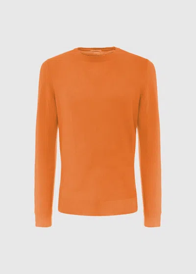 Malo Maglia Girocollo In Lana Vergine In Orange