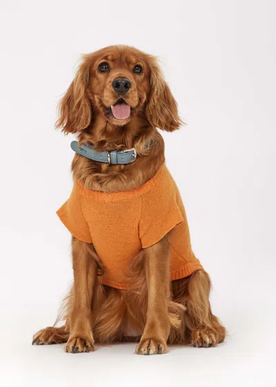 Malo Maglioncino In Cashmere Less Is More, Mog In Orange