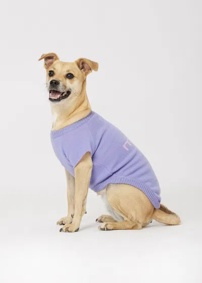 Malo Maglioncino In Cashmere Less Is More, Mog In Purple