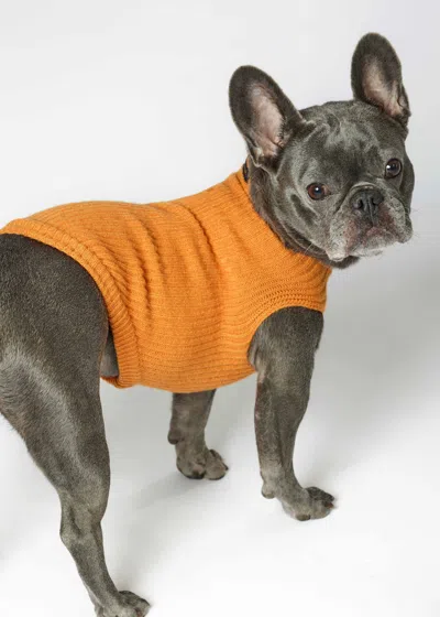 Malo Cashmere Sweater "-ve," Mog In Orange