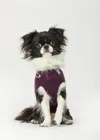 Malo Cashmere Sweater "-ve," Mog