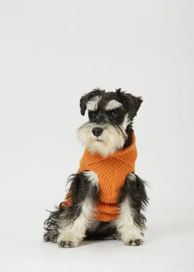 Malo Maglioncino In Cashmere Timeless Love, Mog