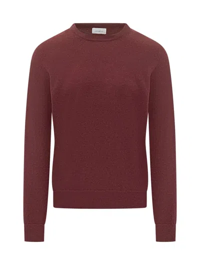 Malo Bordeaux Sweater In Wool And Cashmere In Brown