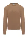 Malo Camel Cashmere Crew Neck Sweater In Brown