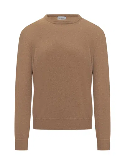 Malo Camel Cashmere Crew Neck Sweater In Brown